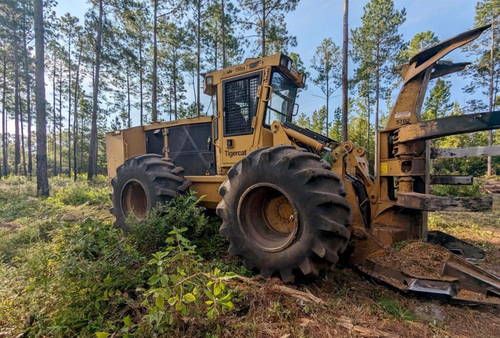 Yellow Tigercat logging skidder with Ascenso forestry tires and front grapple attachment operating in a pine forest clearing.