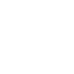 tire (2)
